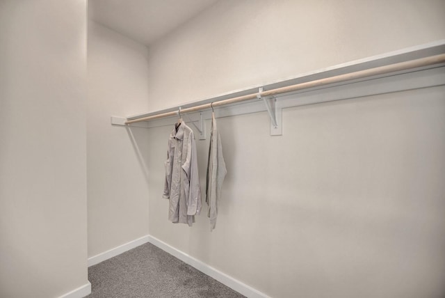 spacious closet with carpet floors