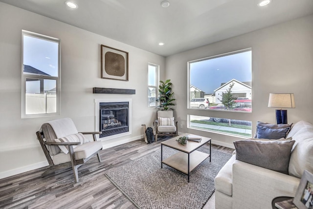 living room featuring hardwood / wood-style flooring