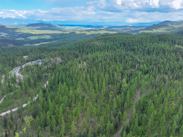 2290 Mountain Home Rd, Whitefish, MT 59937
