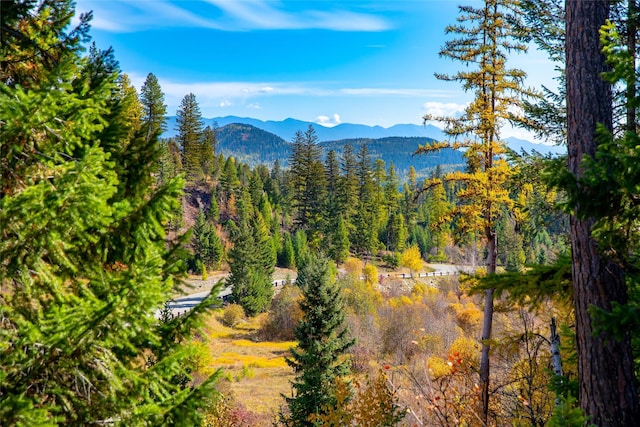 2290 Mountain Home Rd, Whitefish, MT 59937