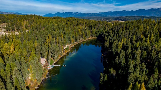 2290 Mountain Home Rd, Whitefish, MT 59937