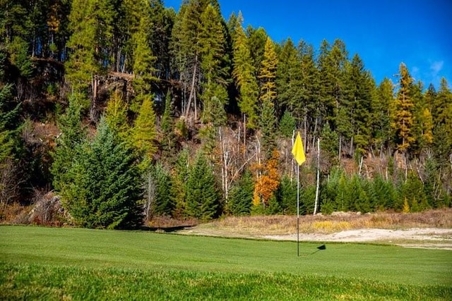 2290 Mountain Home Rd, Whitefish, MT 59937