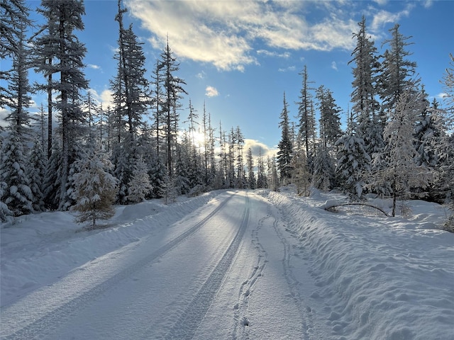 2290 Mountain Home Rd, Whitefish, MT 59937