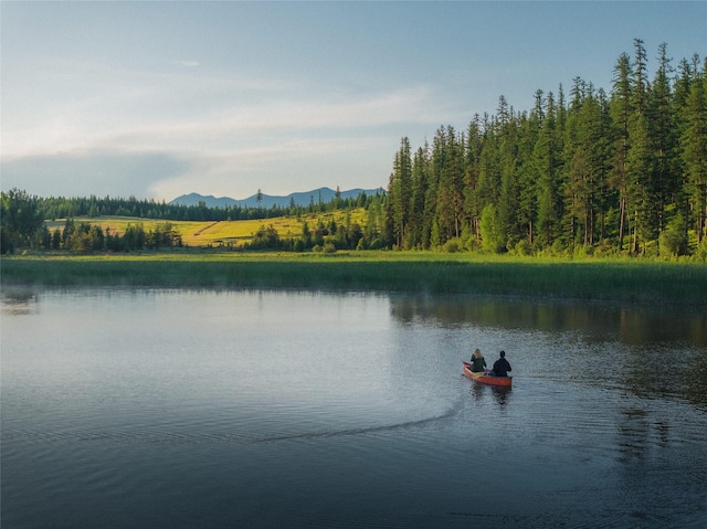 2290 Mountain Home Rd, Whitefish, MT 59937