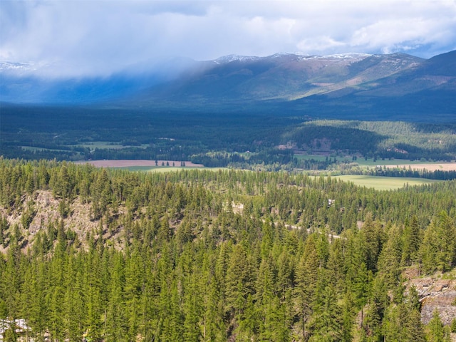 2290 Mountain Home Rd, Whitefish, MT 59937