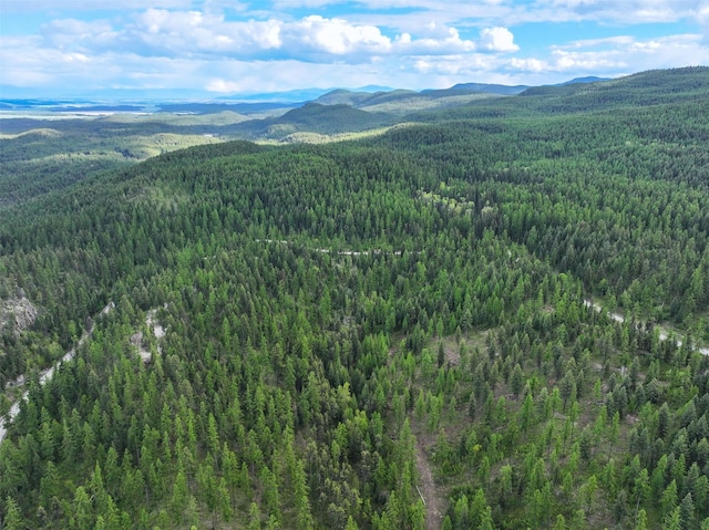 2290 Mountain Home Rd, Whitefish, MT 59937