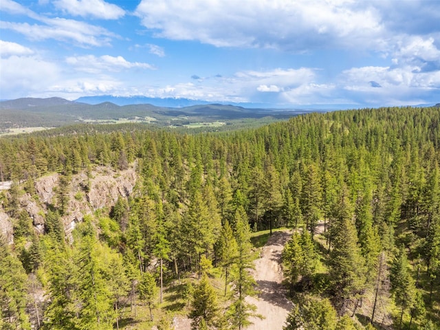 2290 Mountain Home Rd, Whitefish, MT 59937