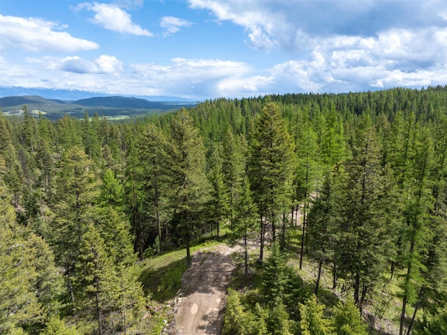 2290 Mountain Home Rd, Whitefish, MT 59937
