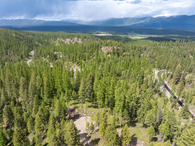 2290 Mountain Home Rd, Whitefish, MT 59937
