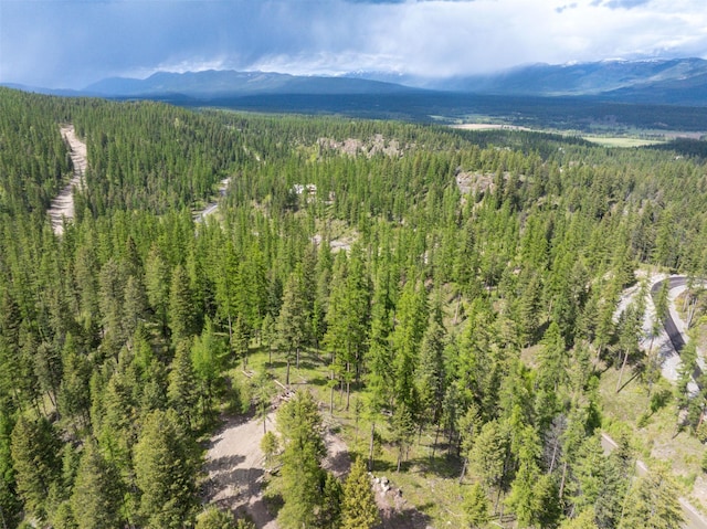 2290 Mountain Home Rd, Whitefish, MT 59937