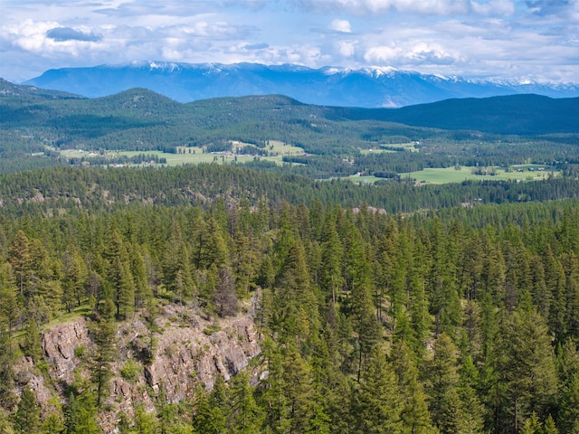 2290 Mountain Home Rd, Whitefish, MT 59937