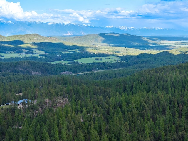 2290 Mountain Home Rd, Whitefish, MT 59937