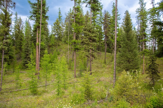 2290 Mountain Home Rd, Whitefish, MT 59937