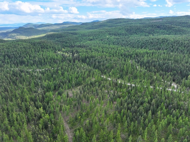2290 Mountain Home Rd, Whitefish, MT 59937