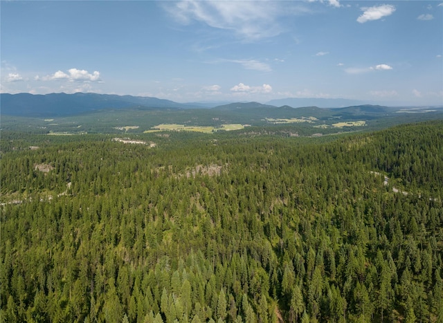 2290 Mountain Home Rd, Whitefish, MT 59937