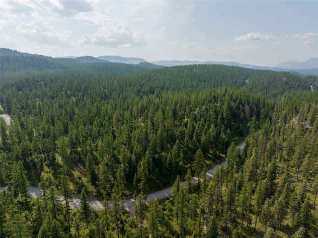 2290 Mountain Home Rd, Whitefish, MT 59937