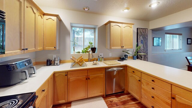 kitchen featuring dishwasher, light brown cabinets, sink, and a wealth of natural light