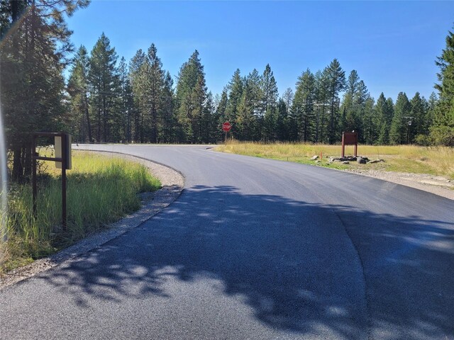 Listing photo 2 for NHN Red Owl Road, Bigfork MT 59911