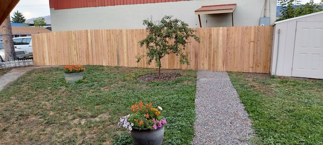 view of yard featuring a storage shed