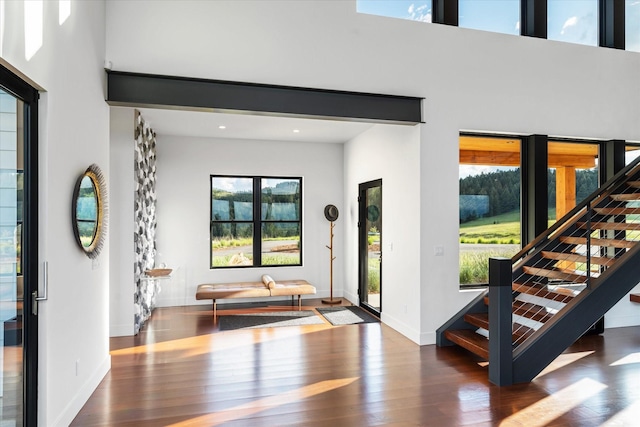 foyer with a towering ceiling and dark wood-type flooring