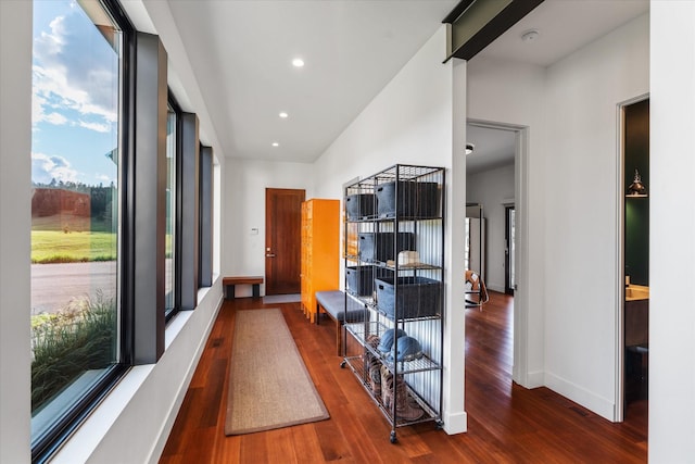 hallway featuring dark hardwood / wood-style flooring