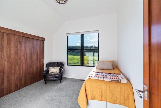 bedroom featuring carpet floors and lofted ceiling