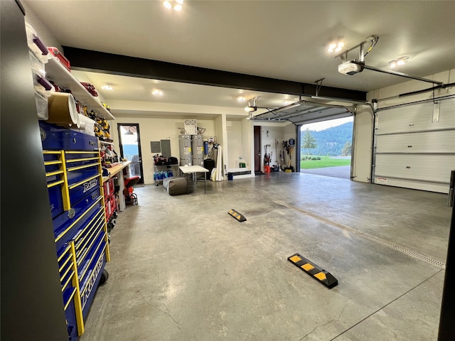 garage featuring a garage door opener and water heater