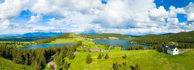 drone / aerial view featuring a water and mountain view