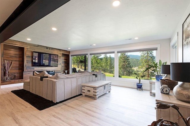 living room featuring wood walls and light hardwood / wood-style floors