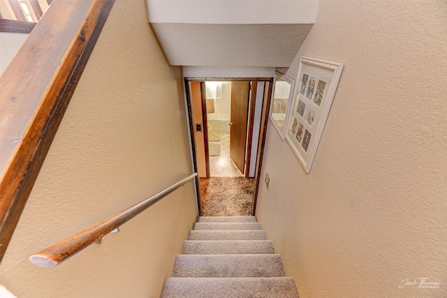 staircase featuring carpet