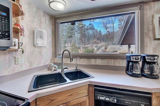 kitchen with sink, a textured ceiling, and dishwashing machine