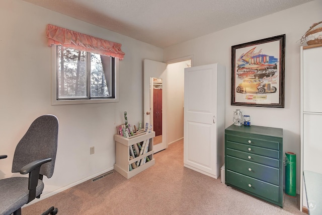 interior space with a textured ceiling and light carpet