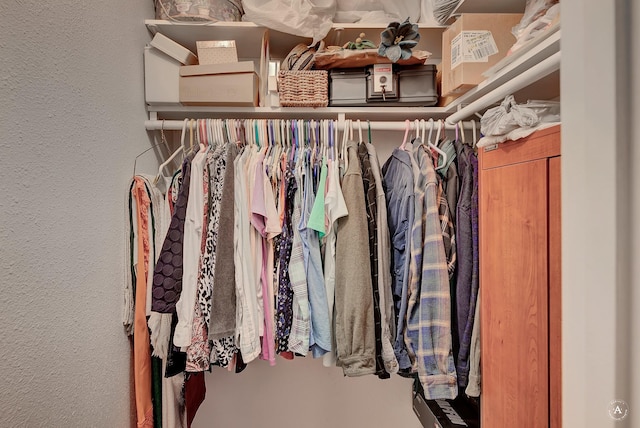 view of walk in closet