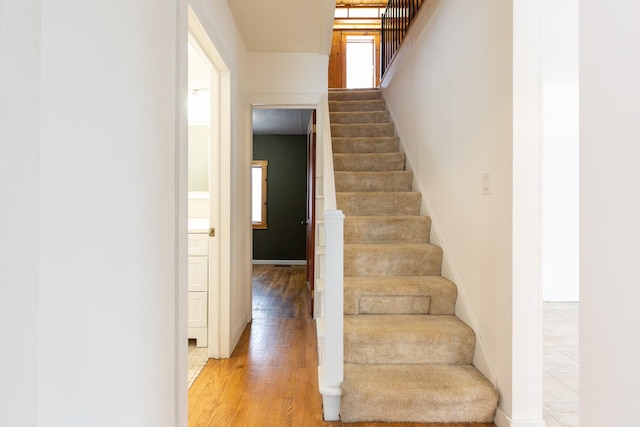 stairs featuring plenty of natural light and wood-type flooring