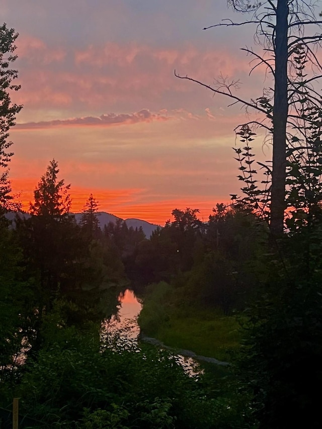 124 W 2nd St Unit B, Whitefish, MT 59937 - view of undeveloped land