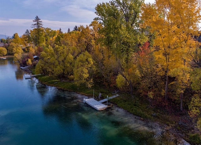 124 W 2nd St Unit B, Whitefish, MT 59937 - view of property location featuring a large body of water and a forest
