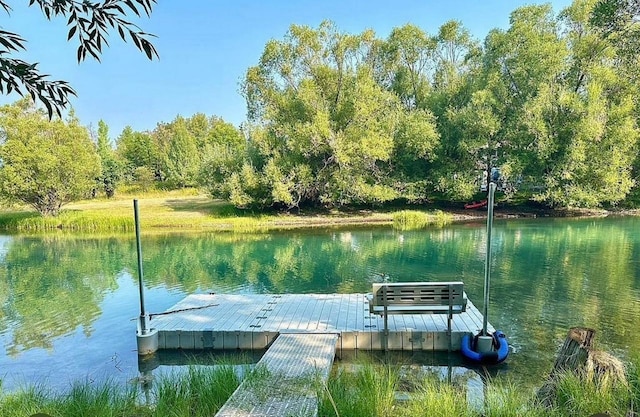 124 W 2nd St Unit B, Whitefish, MT 59937 - dock with a water view