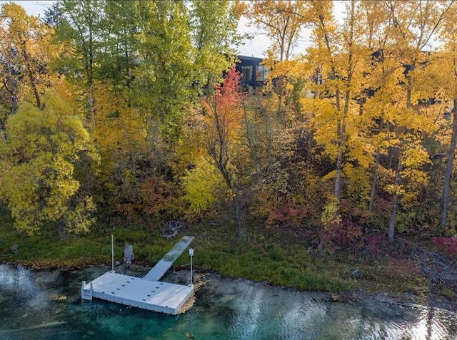 124 W 2nd St Unit B, Whitefish, MT 59937 - dock area featuring a water view