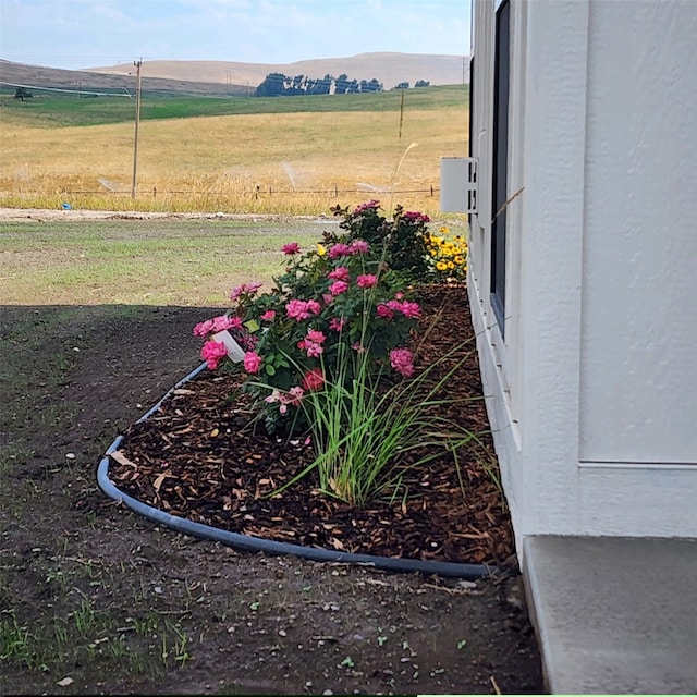 view of yard with a rural view