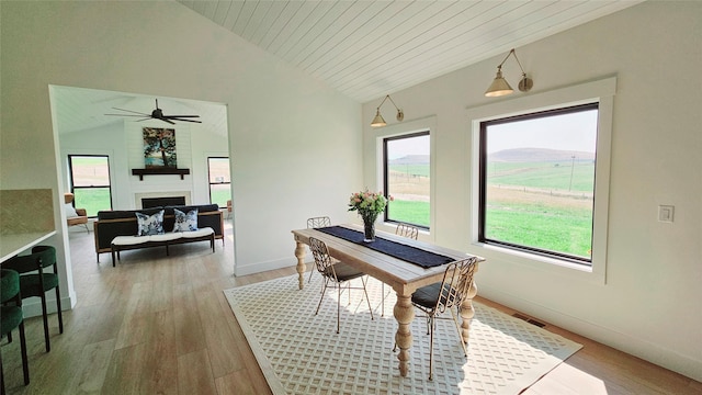 dining area featuring lofted ceiling, a wealth of natural light, a fireplace, and wood finished floors