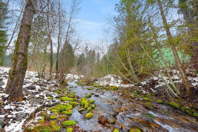 view of landscape featuring a forest view