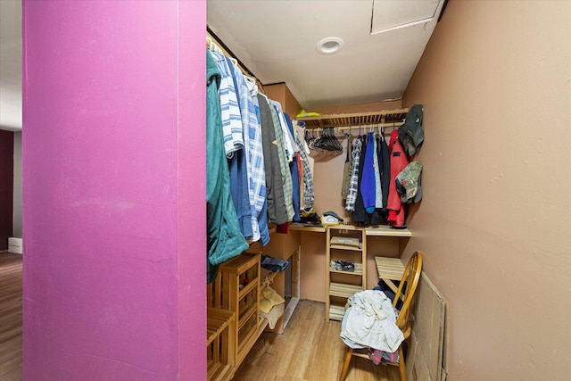 spacious closet with wood-type flooring