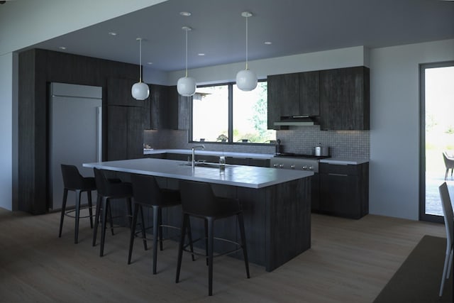10580 Royal Coachman Dr, Missoula, MT 59808 - kitchen with sink, tasteful backsplash, an island with sink, decorative light fixtures, and light wood-type flooring