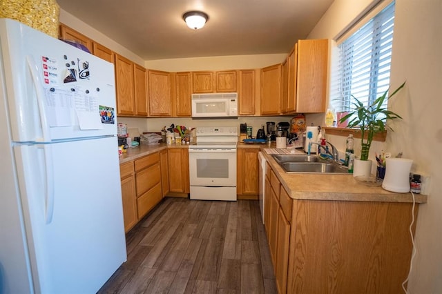 kitchen featuring white appliances, sink, and dark wood-type flooring