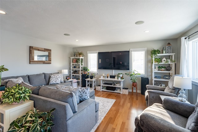 living room with light hardwood / wood-style floors