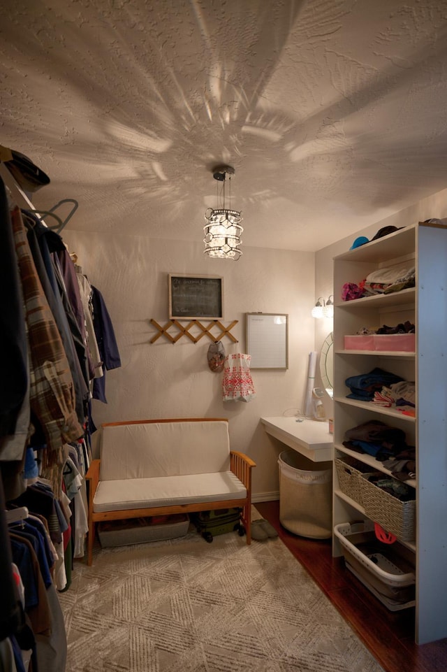 spacious closet featuring wood finished floors