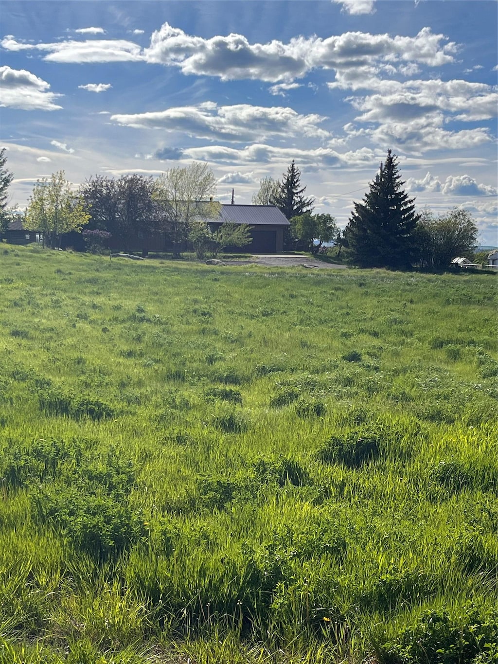 view of yard with a rural view