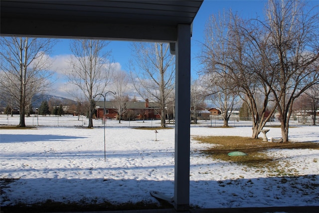 view of snowy yard