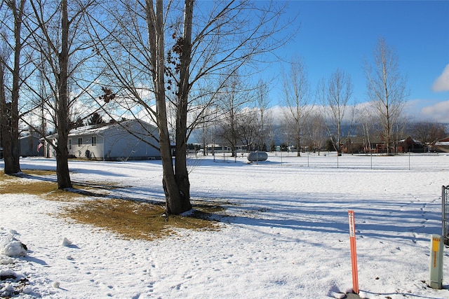 view of yard covered in snow