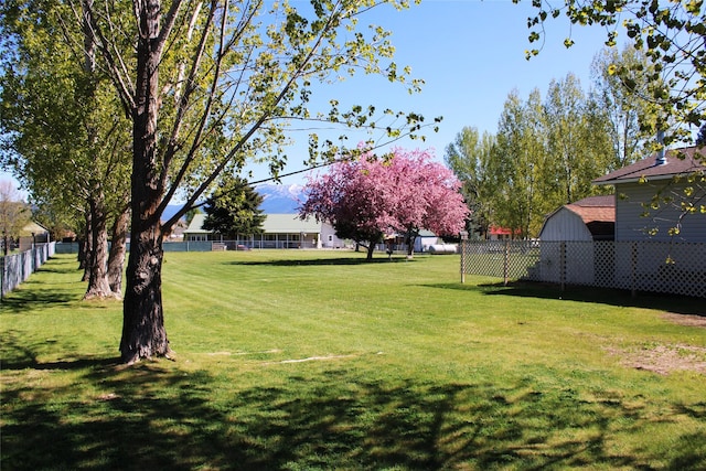 15 Sully Rd, Plains, MT 59859 - view of yard